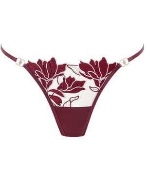 Bluebella Geneva Floral Embroidered Brief Cherry