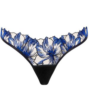 Bluebella Lyandra Brief Egyptian//Sheer - Blue