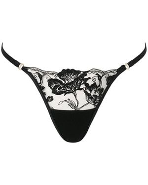 Bluebella Morelle Embroidered Sheer Thong - Multicolor