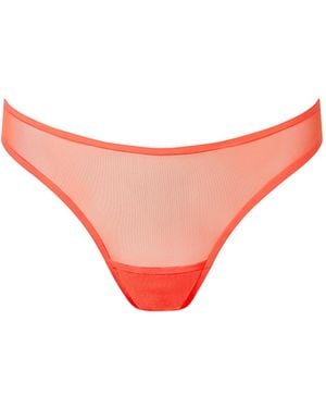 Bluebella Naomi Mesh Brief Coral - Pink