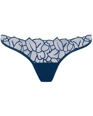 Bluebella Laurel Leaf Embroidered Brief - Blue