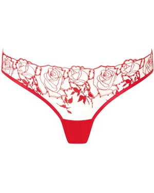 Bluebella Rosalie Sheer Brief - Red