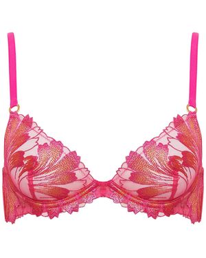 Bluebella Colette Bra Fuchsia/ Pepper - Pink