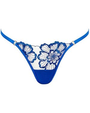 Bluebella Catalina Brief Egyptian Blue/sheer
