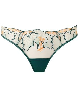 Bluebella Gianna Sheer Brief - Multicolour