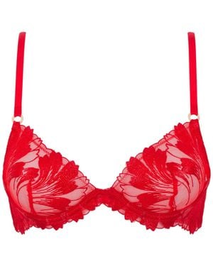 Bluebella Colette Bra - Red