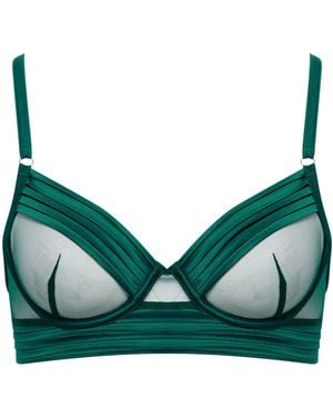 Bluebella Stephanie Wired Bra Botanical Garden Green