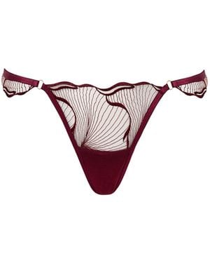 Bluebella Marabel Embroidered Sheer Thong Cherry - Multicolor