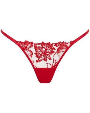 Bluebella Samara Embroidered Thong
