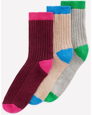 Boden Kurze Rippstrick-Socken - Mehrfarbig