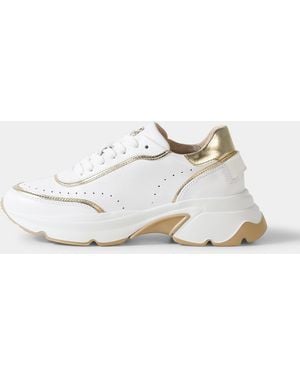 Bogner Kobe Sneaker - White