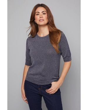 Wallis Shimmer Short Sleeve Sweater - Gray