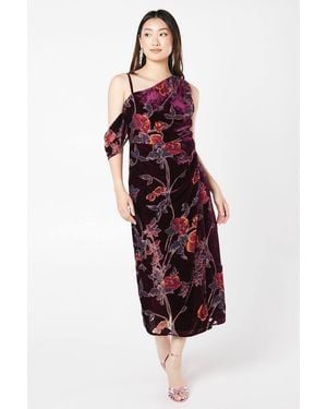 Coast Velvet Party Midi Wedding Guest Dress - Red