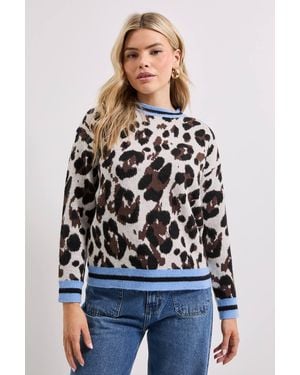 Dorothy Perkins Leopard Knitted Sweater - Multicolor