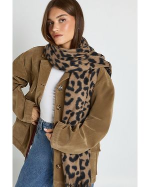 Boohoo Leopard Tassel Lightweight Blanket Scarf - Marrón