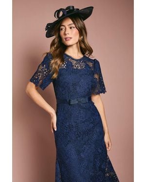 Coast Velvet Cutwork Lace Midi Dress With Contrast Collar in Black | Lyst Coast Velvet Cutwork Lace Midi Dress With Contrast Collar in Black | Lyst