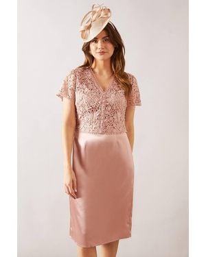 Wallis Lace Overlay Pencil Midi Dress - Pink