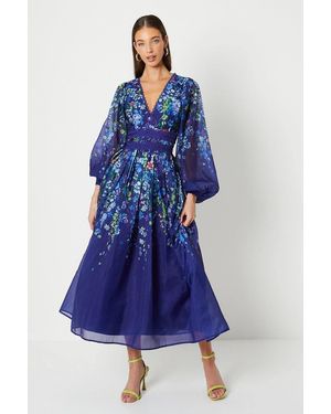 Coast Organza Floral Placement Lace Trim Midaxi Dress - Blue