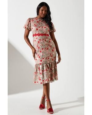 Coast Embroidered Floral Lace Trim Dress - Multicolor