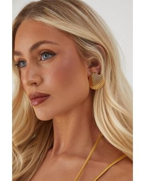 MissPap Sea Shell Stud Earrings - Brown