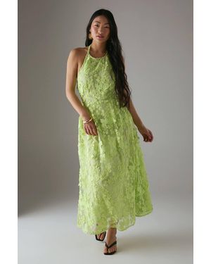 Warehouse Petite 3D Embroidered Halter Open Back Midi Dress - Green