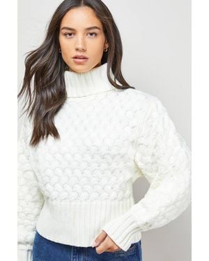 Oasis Chunky Cable Knit Roll Neck Sweater - White