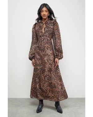 Warehouse Burnout Velvet Frill Shoulder Tie Front Midi Dress - Brown