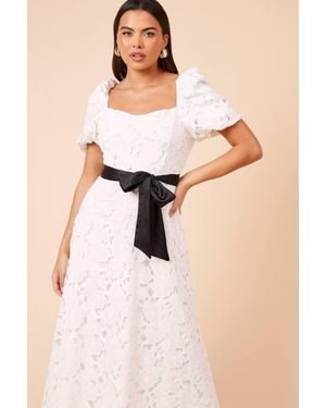 Dorothy Perkins Dp Luxe Lace Keyhole Midi Dress in Pink | Lyst Dorothy Perkins Dp Luxe Lace Keyhole Midi Dress in Pink | Lyst
