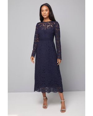 Wallis Lace Fit And Flare Midi Dress - Blue