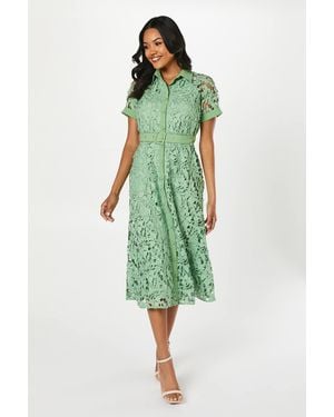 Coast Lace Shirt Dress With Contrast Paneling - Green