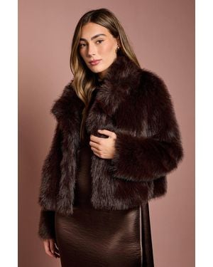 Coast Occasion Short Faux Fur Coat - Brown