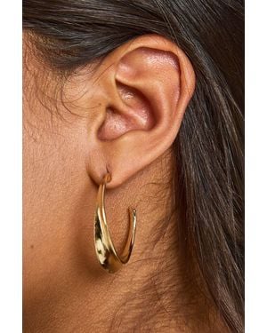 Boohoo Twist Hoop Earrings - Brown