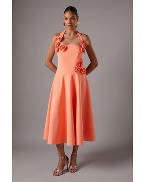 Coast Rosette Halter Midi Dress - Pink