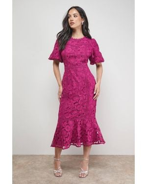 Oasis Lace Trim Detail Puff Sleeve Peplum Midi Dress - Pink