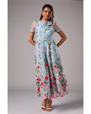 Coast Petite Embroidered Mesh Midi Dress With Lace Trim - Blue