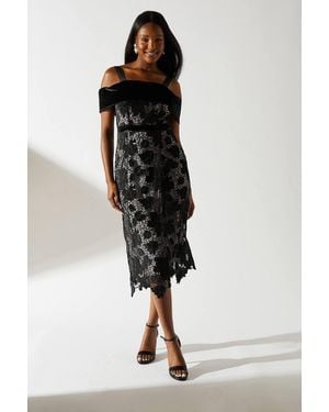 Coast Velvet Cutwork Lace Midi Dress With Contrast Collar in Black | Lyst
