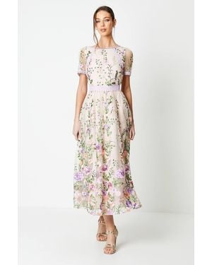 Coast Lace Trim Detail Embroidered Mesh Midi Dress - Pink