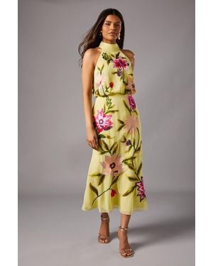 Coast Petite Embroidered Halter Neck Midi Dress - White