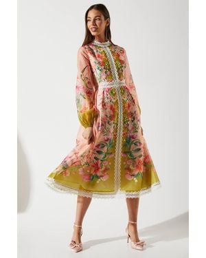 Coast Organza Lace Trim Midi Dress - Multicolor