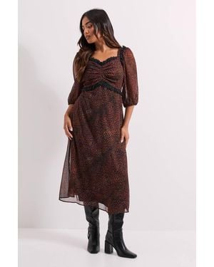 Dorothy Perkins Petite Animal Printed Lace Trim Blouson Sleeve Midi Dress - Purple
