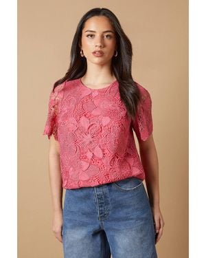 Oasis Occasion Lace Scallop Top - Red