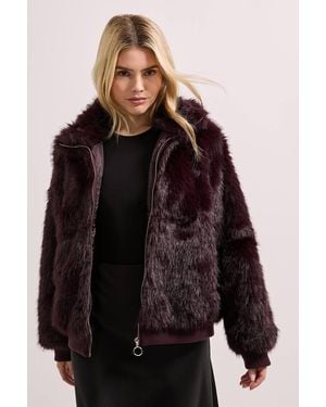 Dorothy Perkins Faux Fur Bomber Jacket - Brown