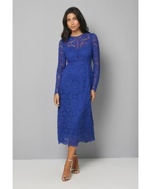 Wallis Lace Fit And Flare Midi Dress - Blue