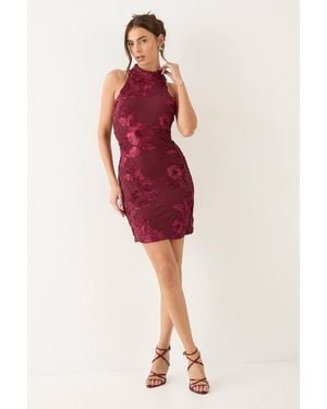 MissPap Textured Floral High Neck Mini Dress
