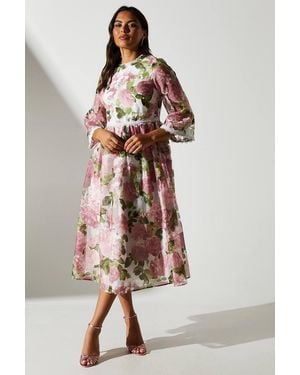 Coast Organza Floral Lace Trim Midi Dress - White