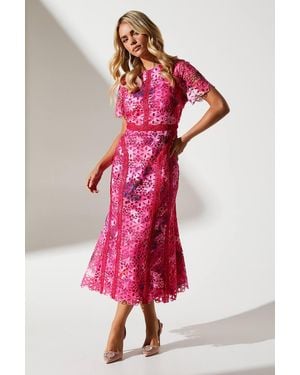 Coast Petite Printed Lace Midi Pencil Dress - Red