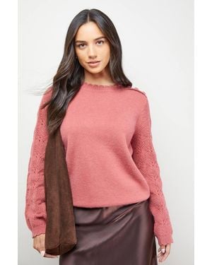 Oasis Stitch Detail Sleeve Ruffle Neck Sweater - Pink