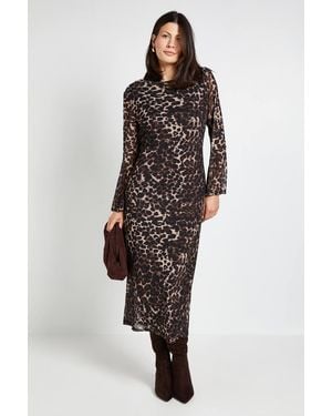 Wallis Leopard Mesh Midi Dress - Gray