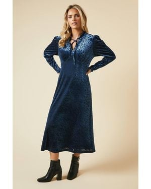 Dorothy Perkins Petite Leopard Burnout Long Sleeve Midi Dress - Blue