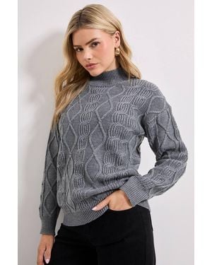 Dorothy Perkins Twisted Cable Funnel Longline Sweater - Gray